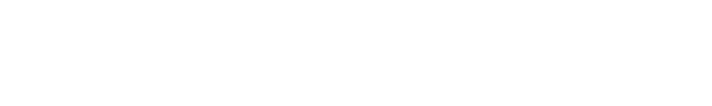 Vanguard v0001 invert 1024x153